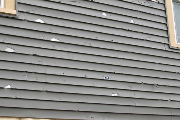 Best Siding Painting and Refinishing  in Concord, NH