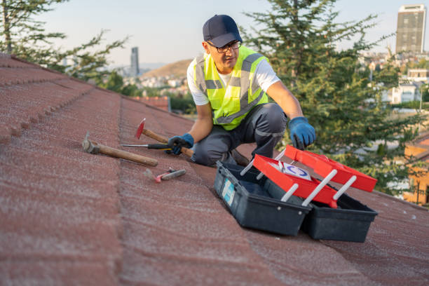 Best Historical Building Siding Restoration  in Concord, NH